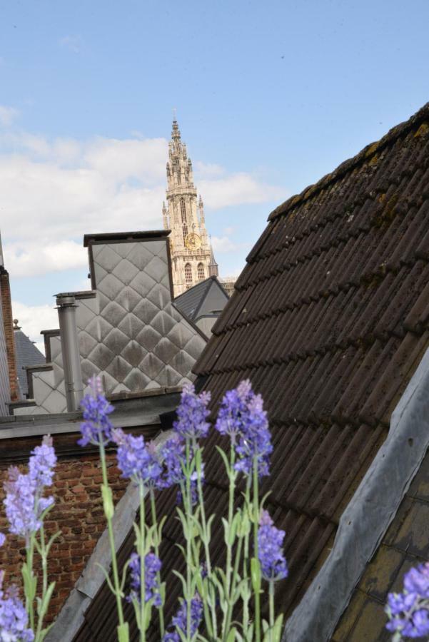 Huize Amoras Antwerpen Bagian luar foto