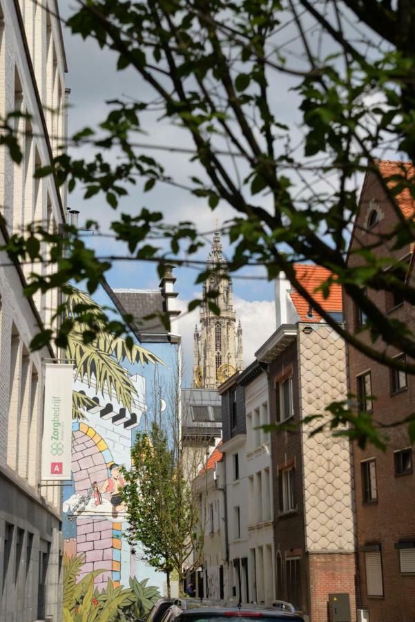 Huize Amoras Antwerpen Bagian luar foto